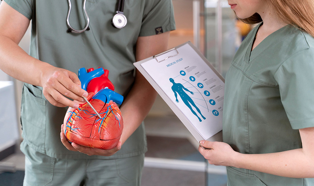 Vaskularna hirurgija